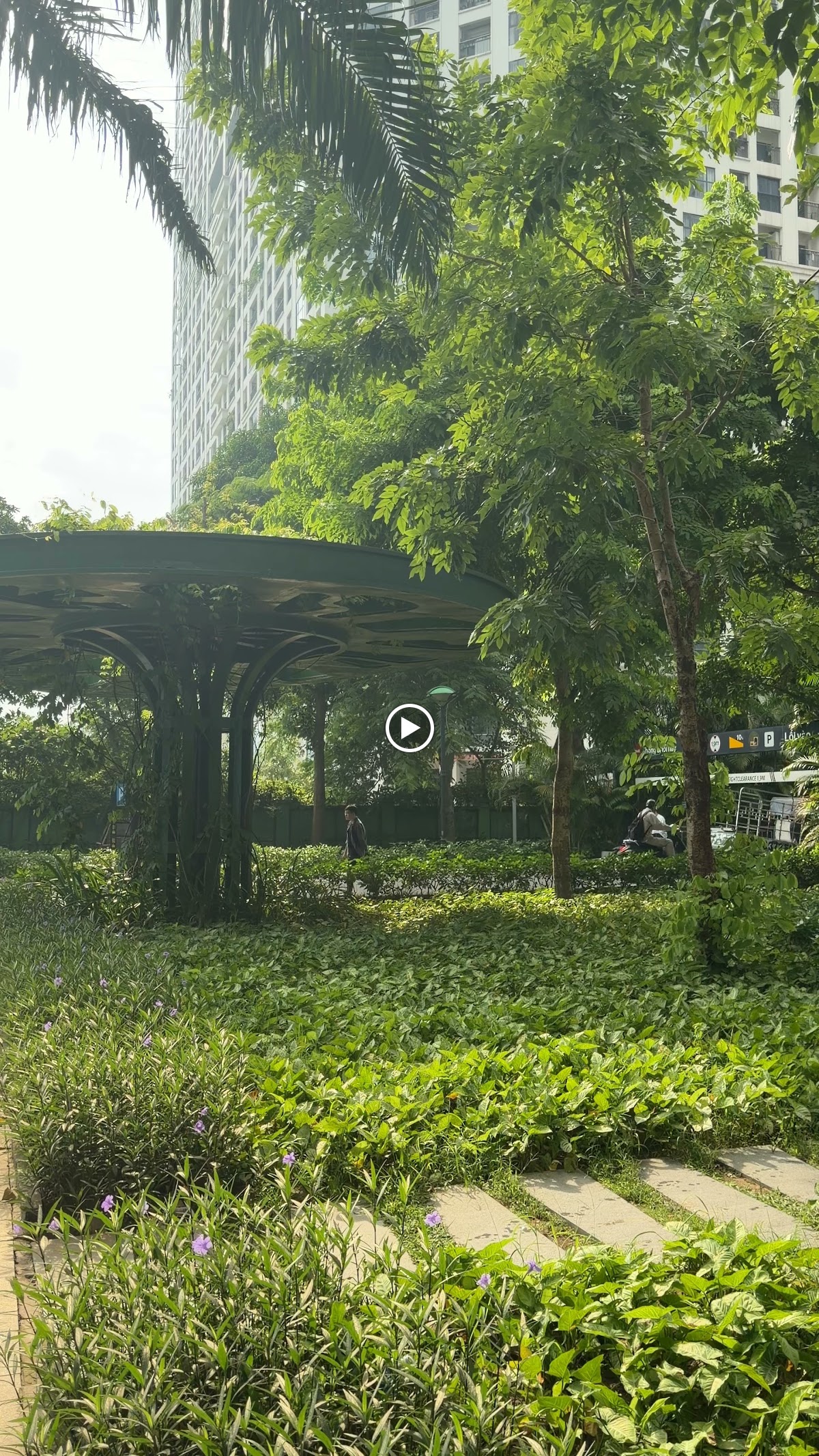 Ngoại cảnh Times City • Giàn Cây Pergola Rợp Tán Lá Xanh