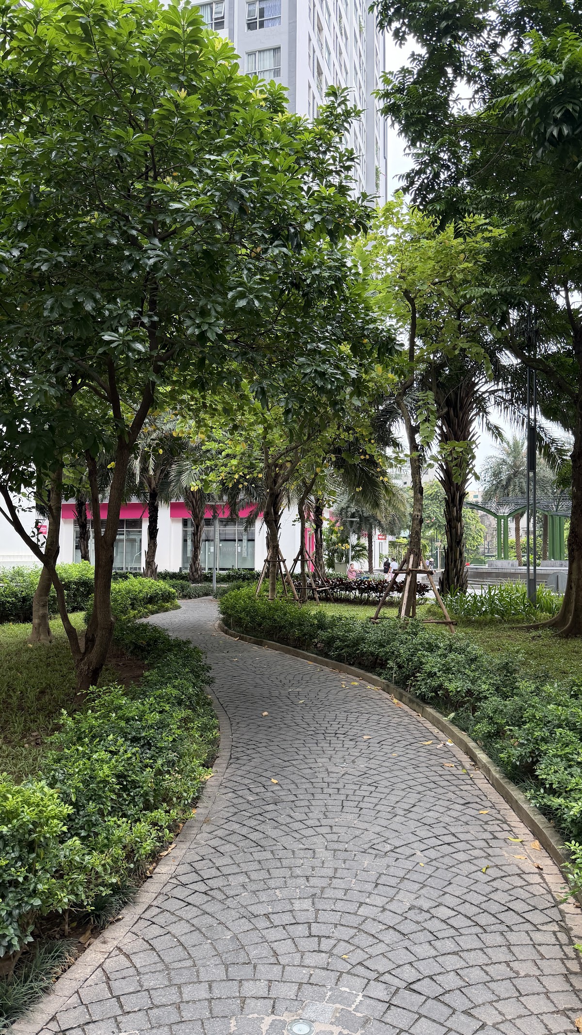 Ngoại cảnh Times City • Lối Đi Lát Đá Uốn Lượn Dưới Hàng Cây Cổ Thụ