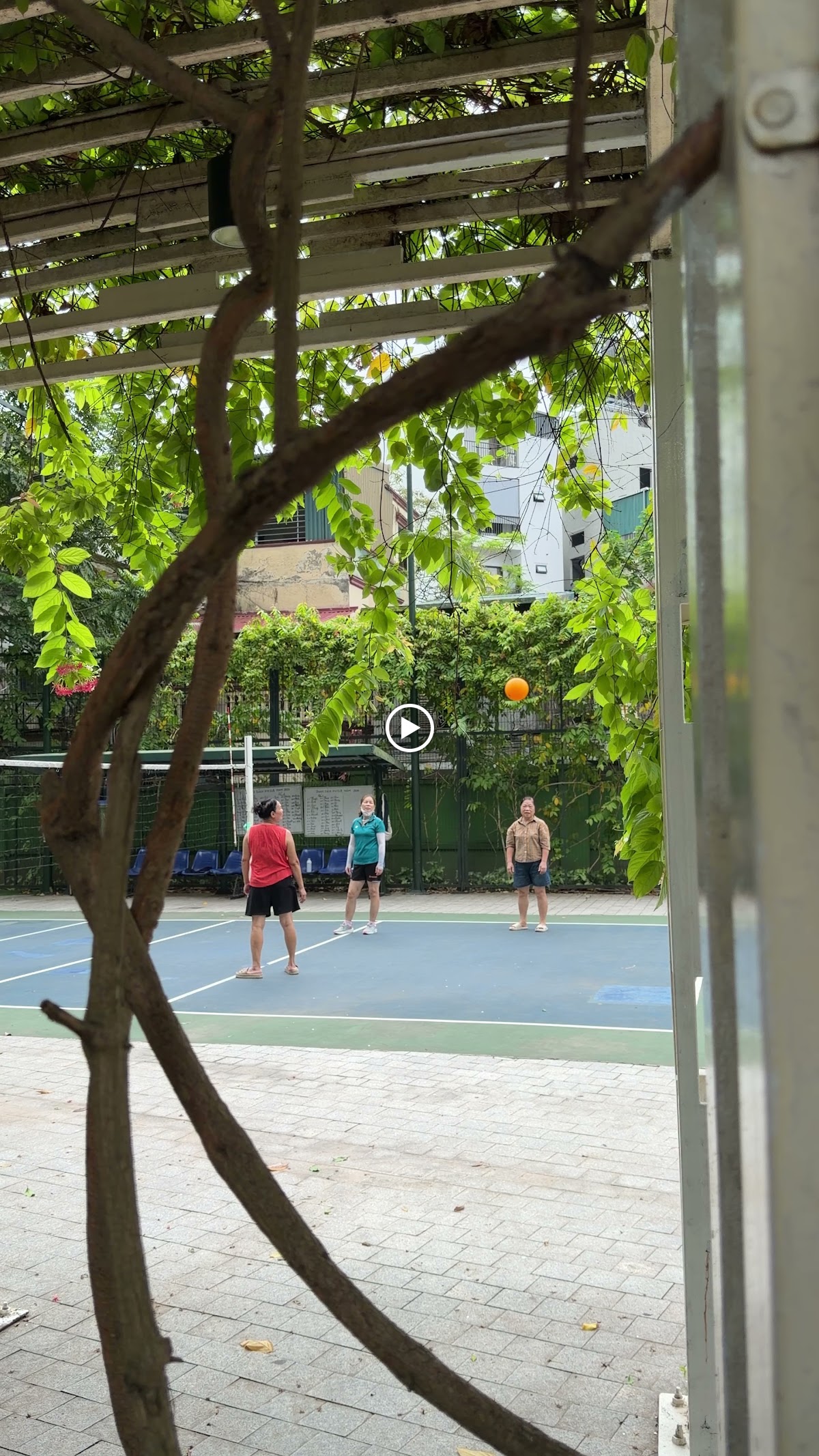 Ngoại cảnh Times City • Lối Đi Lát Đá Dưới Tán Cây Nghiêng Bóng