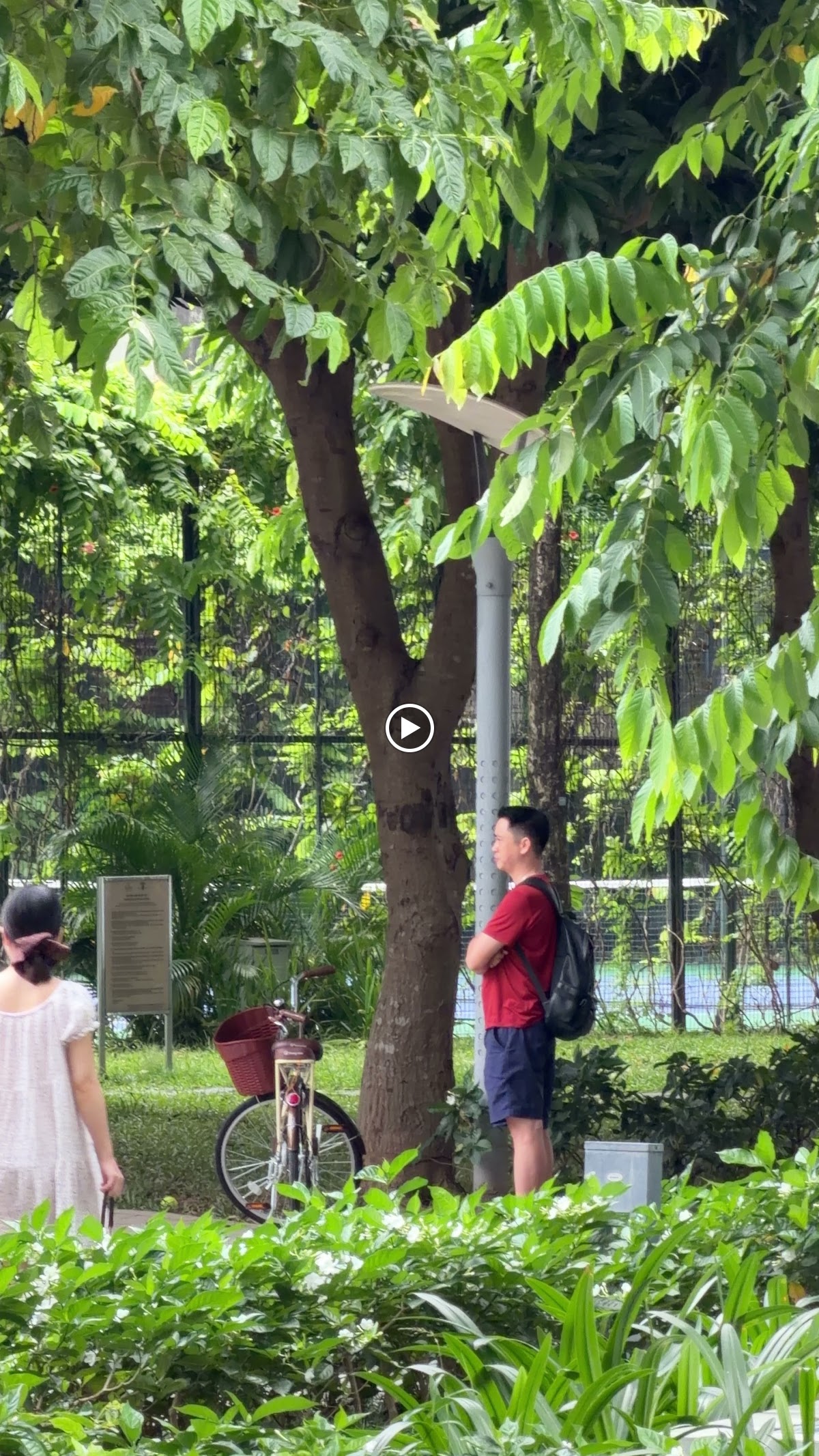 Ngoại cảnh Times City • Rừng Cây Đô Thị Rợp Bóng Mát (74%+ Green)