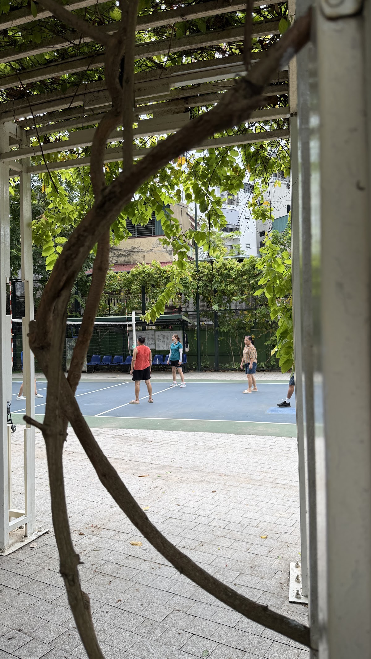 Ngoại cảnh Times City • Nhà Vòm Cảnh Quan & Thảm Hoa Rực Rỡ