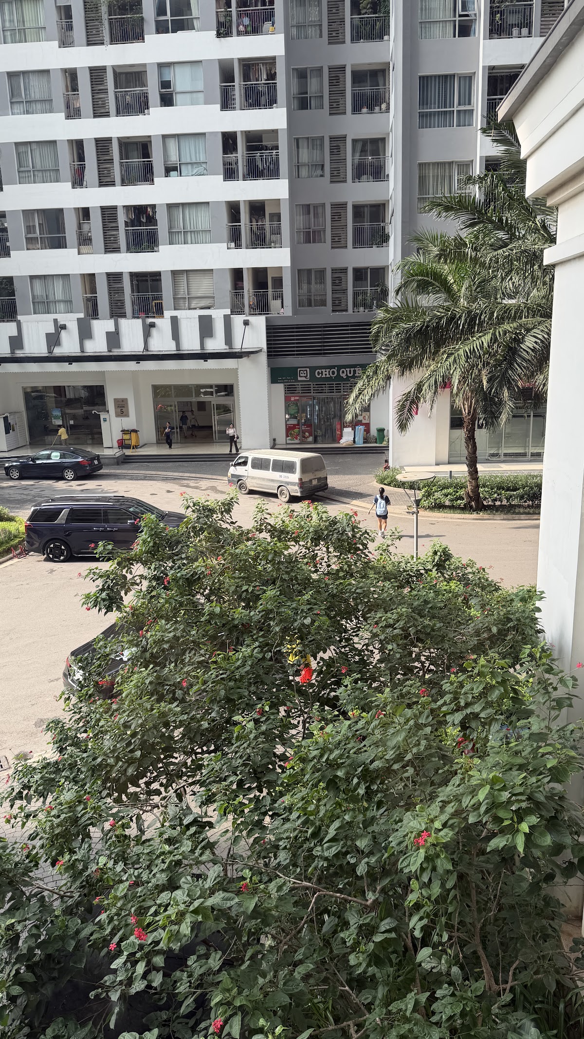 Ngoại cảnh Times City • Đường Hầm Cây Xanh Mát Rượi Cho Vận Động Viên