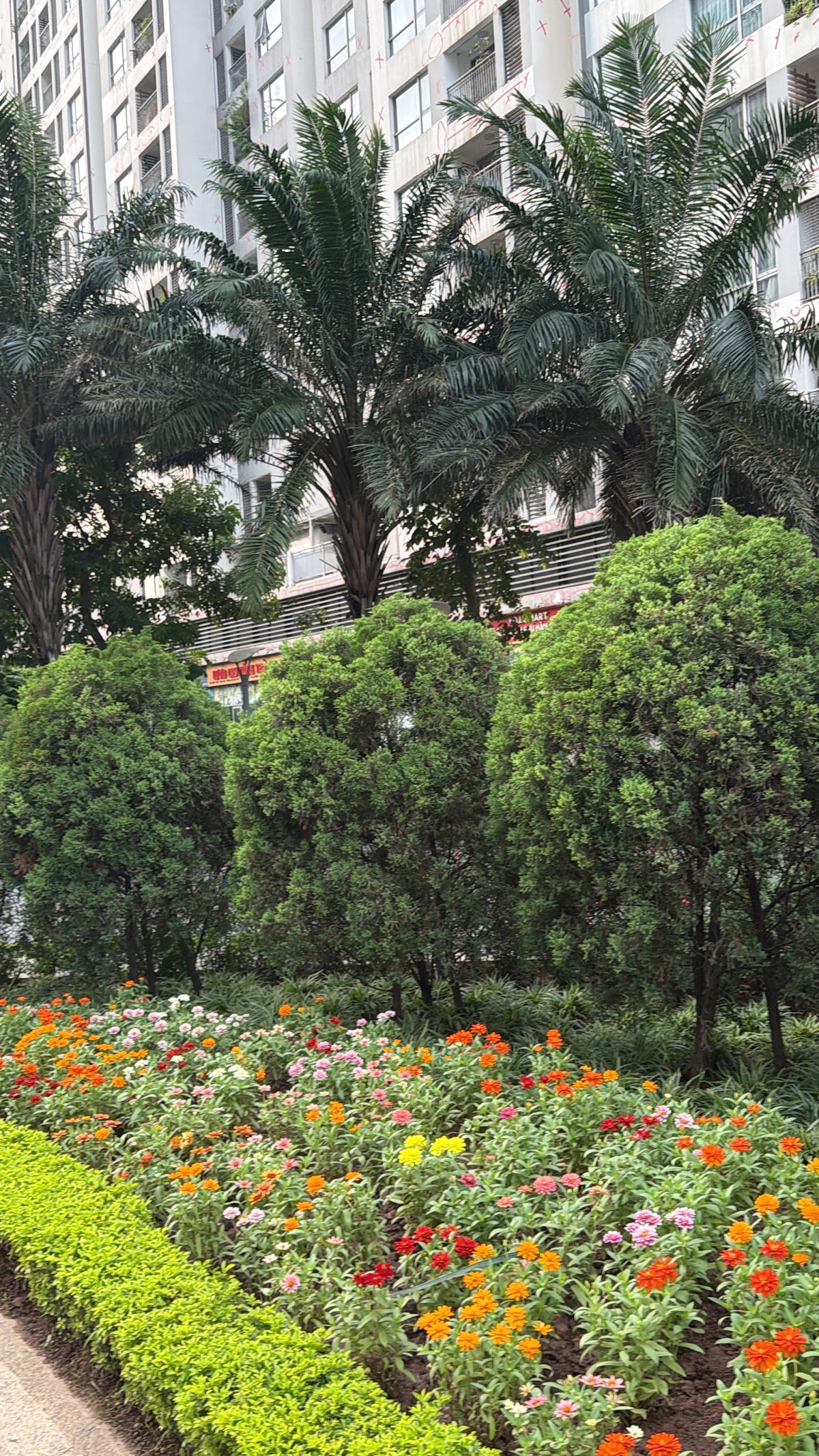 Ngoại cảnh Times City • Đường Chạy Ven Hồ Phản Chiếu Bóng Cây