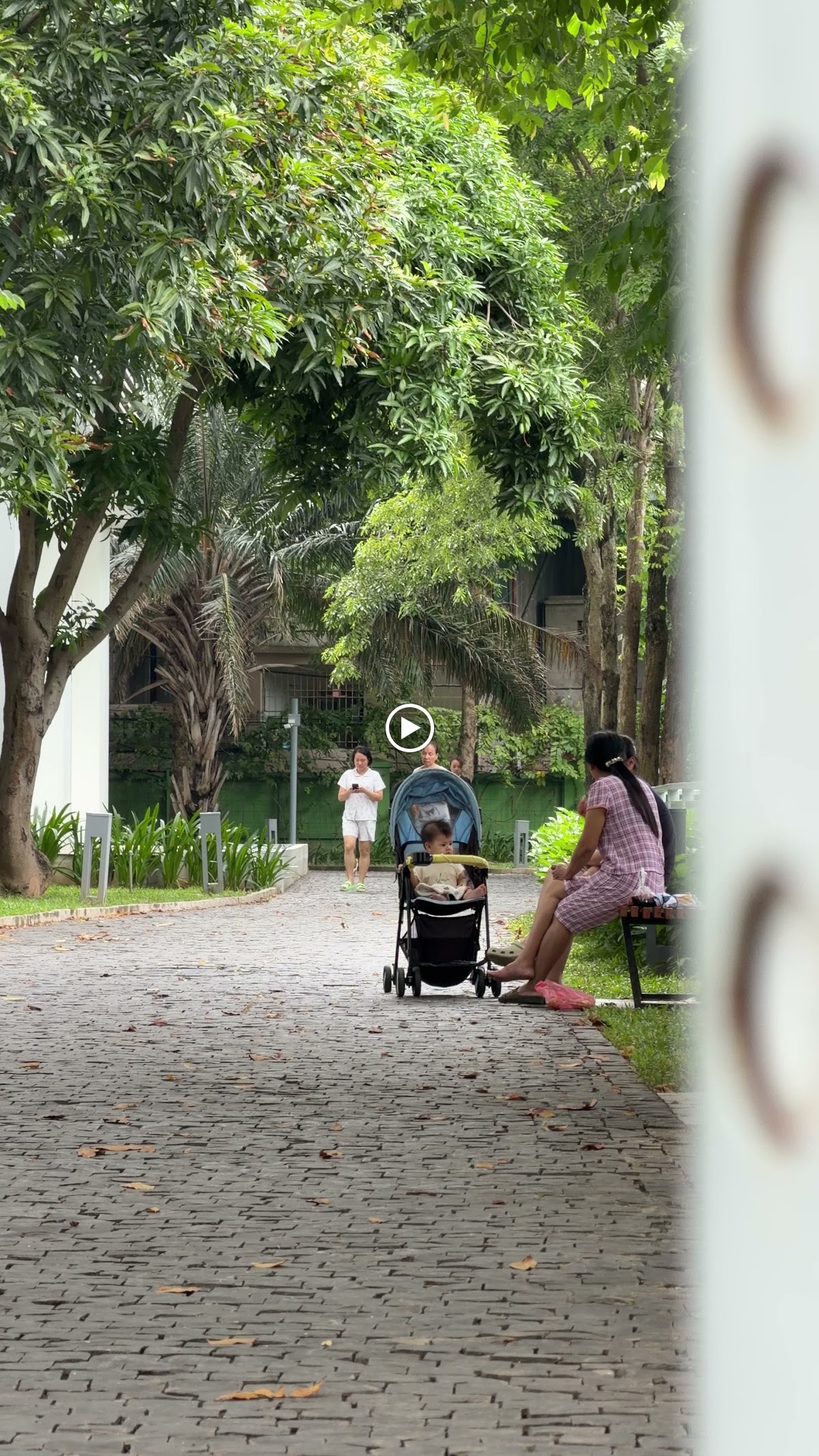 Ngoại cảnh Times City • Đại Lộ Rợp Bóng Cây Đón Nắng Vàng Óng