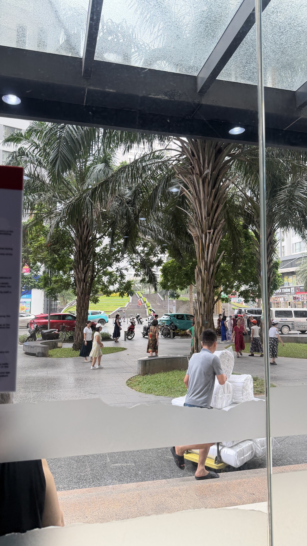 Phòng Quay Nhà Riêng • Chậu Cây Monstera Xẻ Lá Bên Cửa Kính Lùa
