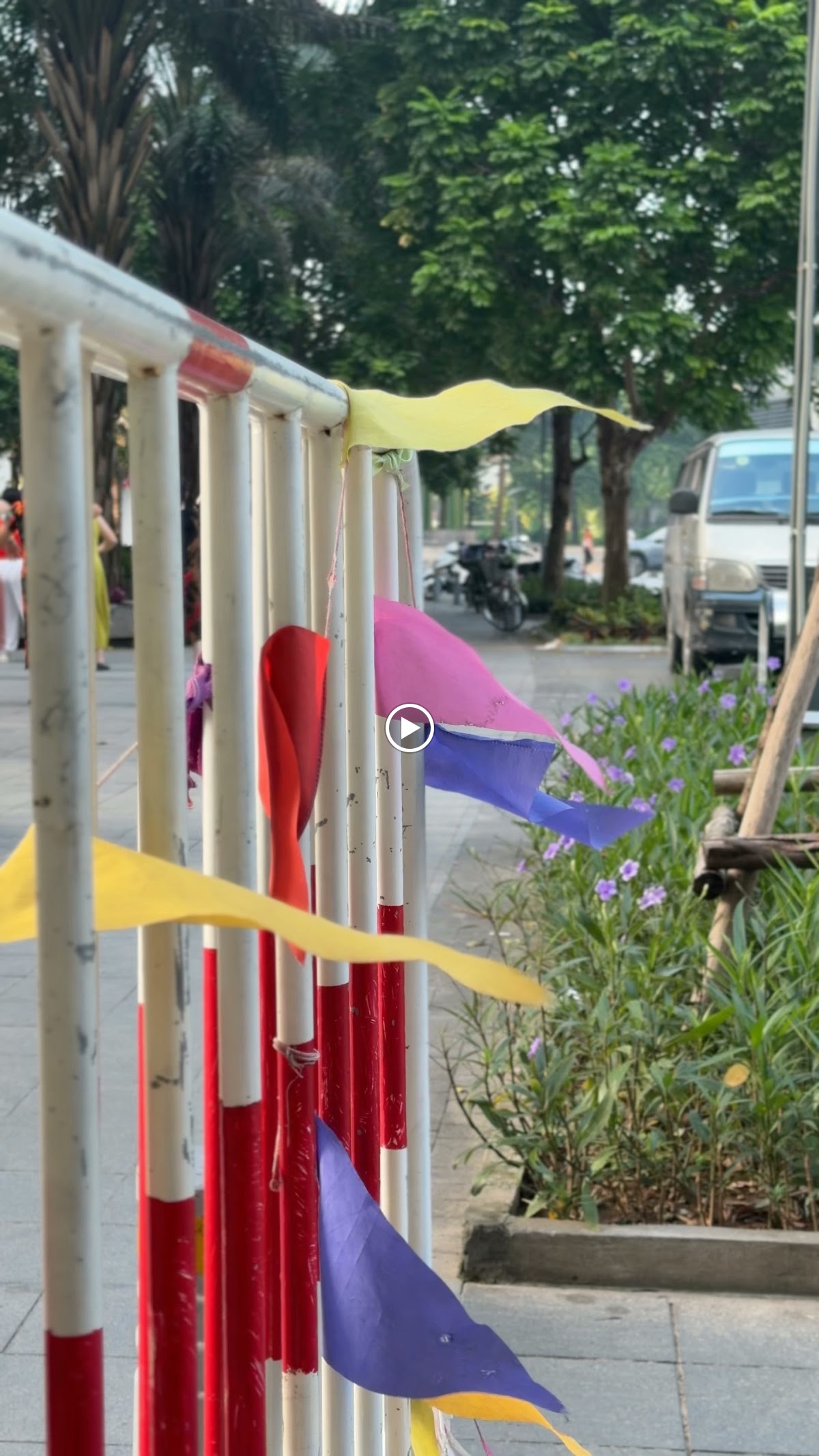 Ngoại cảnh Times City • Cận Cảnh Hoa Nở & Dây Leo Trên Giàn Pergola