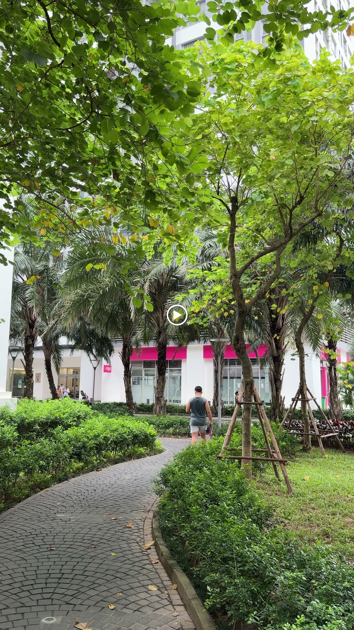Ngoại cảnh Times City • Tán Cây Cổ Thụ Xanh Ngắt Che Phủ Lối Đi