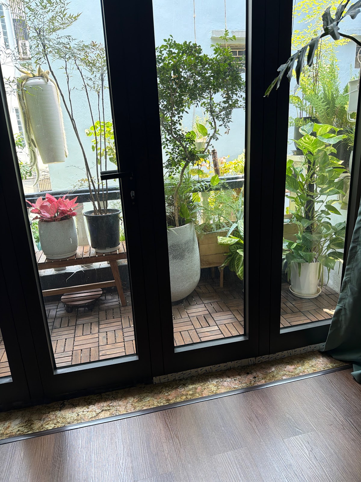 Phòng Gym California • Dàn Treadmill View Kính Dưới Ánh Đèn LED