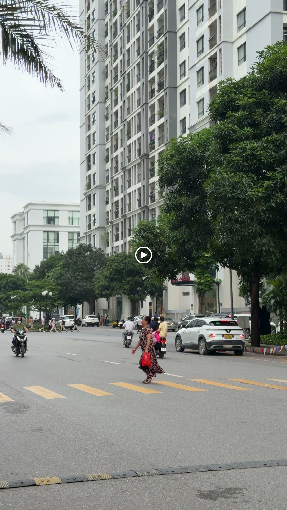 Ngoại cảnh Times City • Lối Đi Bộ Dưới Vòm Cây Râm Mát Buổi Trưa