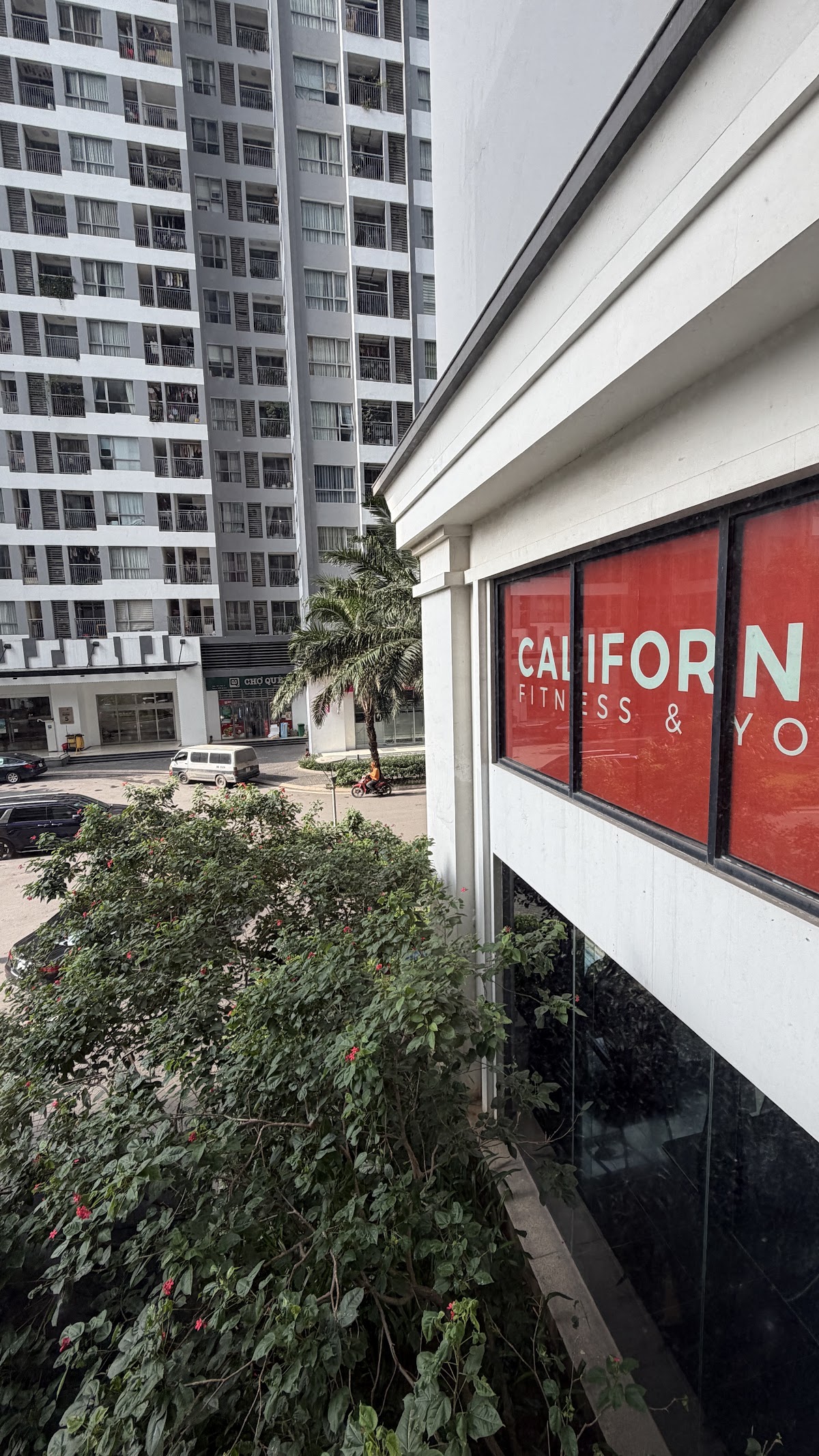 Phòng Gym California • Góc Sảnh Nghỉ Ghế Bọc Nệm Đỏ Sang Trọng