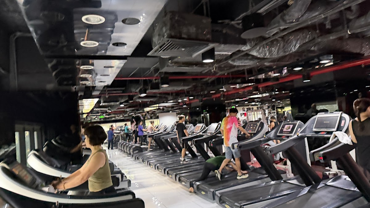 Phòng Gym California • Khung Giá Tạ Kháng Lực & Máy Ép Ngực