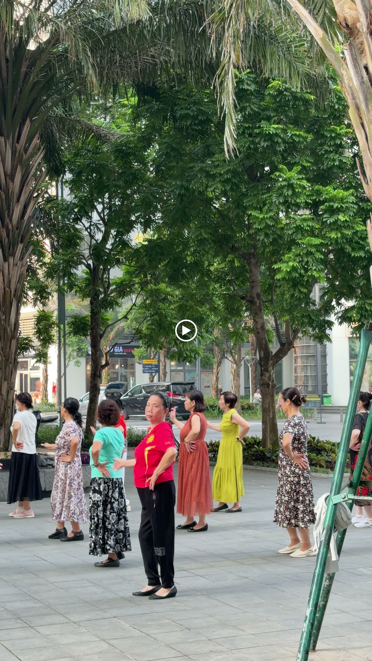 Ngoại cảnh Times City • Rừng Cây Rậm Rạp Giữa Lòng Đô Thị