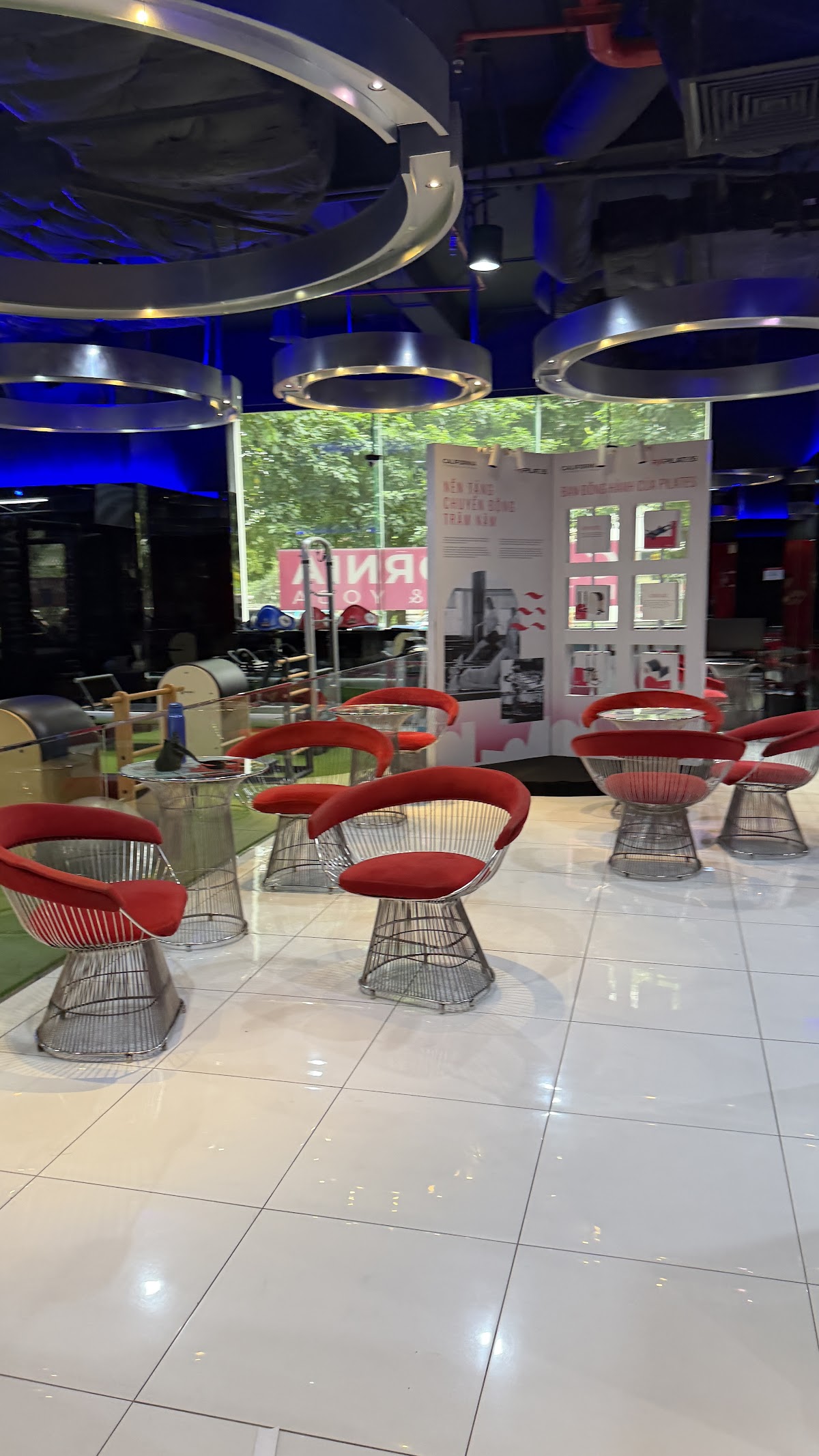 Phòng Gym California • Quầy Bar Đón Tiếp & Điểm Nhấn Sắc Đỏ