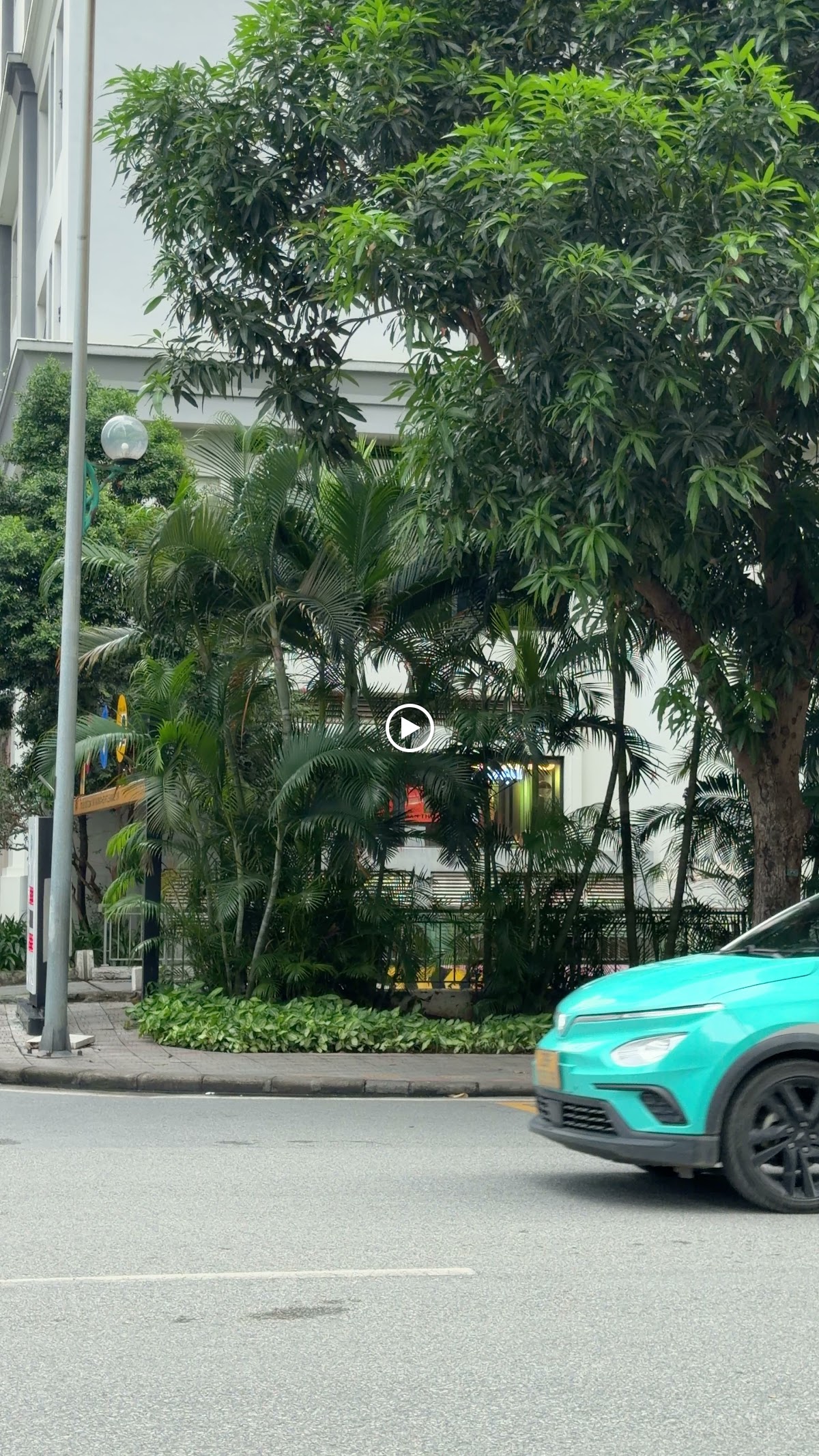 Ngoại cảnh Times City • Rặng Cây Xanh Tươi Đón Gió Buổi Sáng