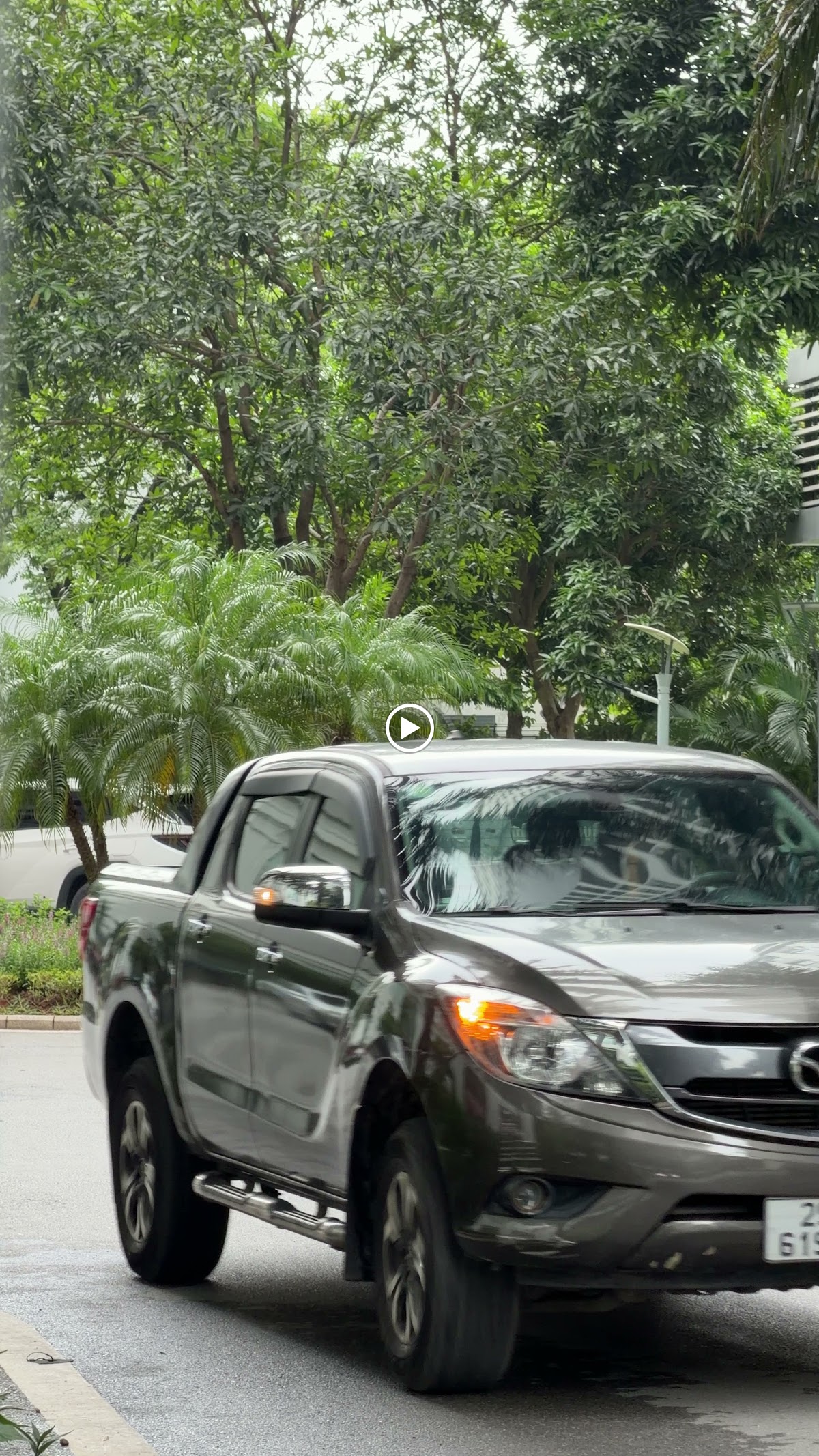 Ngoại cảnh Times City • Vòm Lá Xanh Rậm Rạp Che Kín Khung Hình