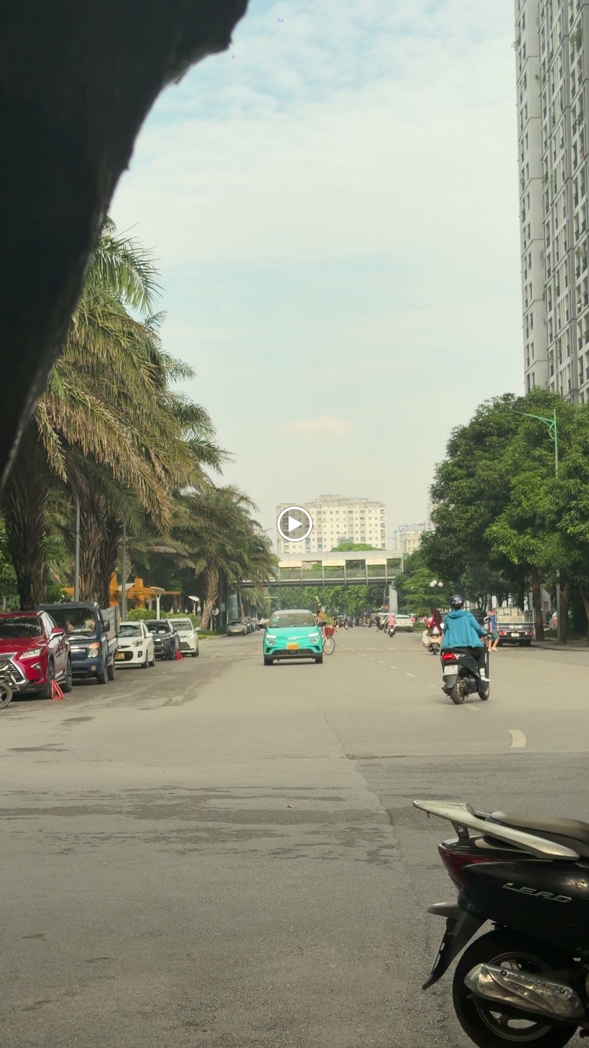 Bàn Làm Việc Nhà Riêng • Bề Mặt Bàn Gỗ Tự Nhiên & Ánh Sáng Ban Mai