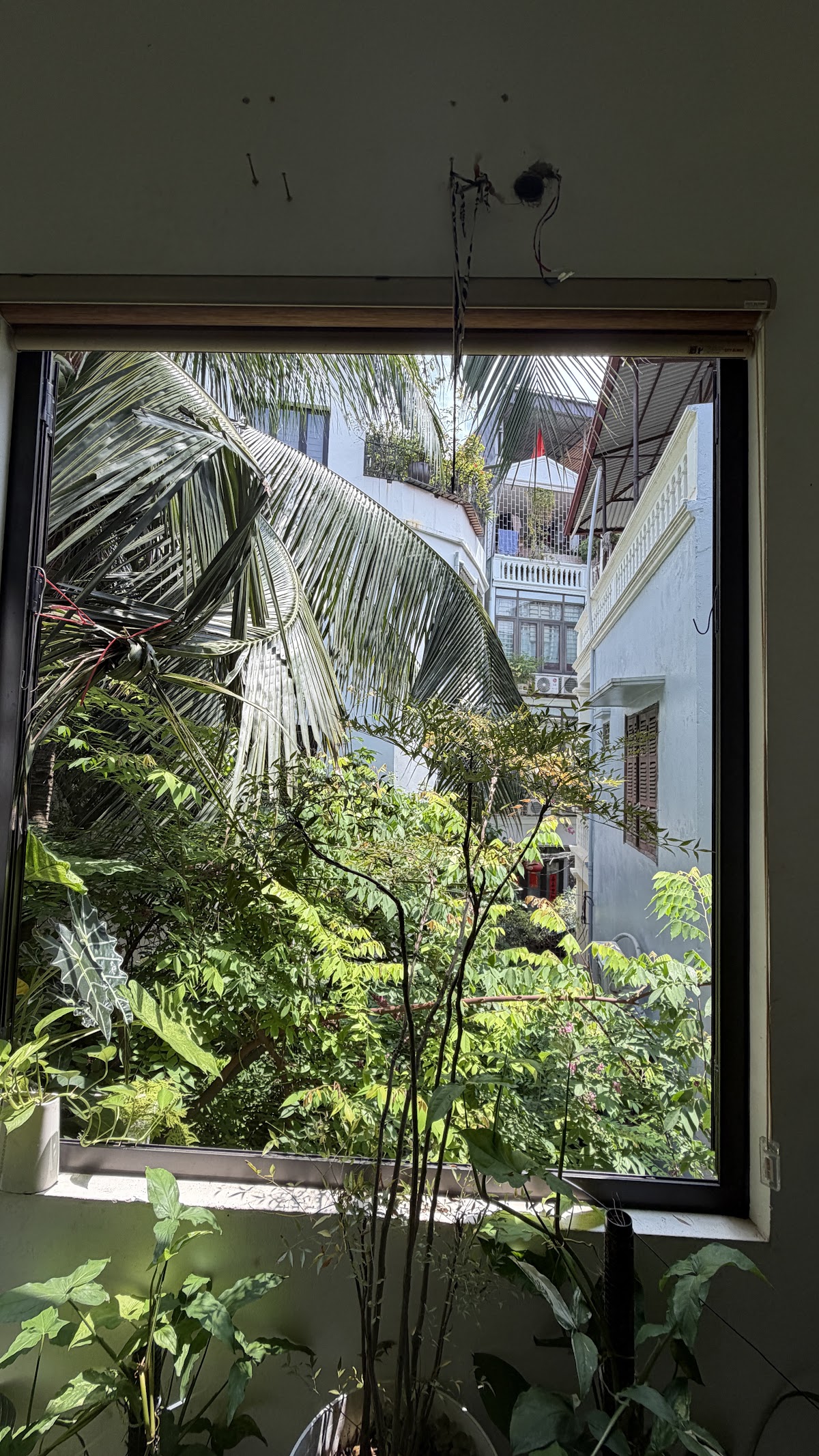 Ngoại cảnh Times City • Giàn Hoa Pergola Phủ Kín Lá Dưới Nắng Hè