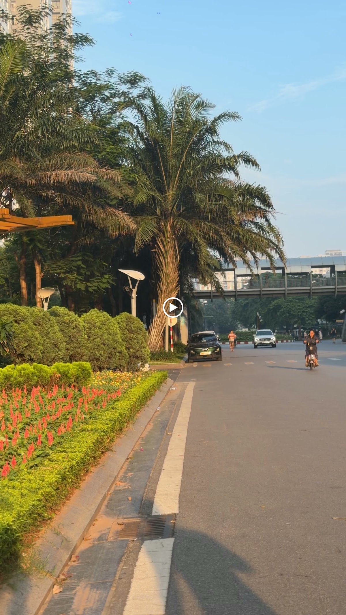 Bàn Làm Việc Nhà Riêng • Khung Cửa Sổ Trời Xanh & Mặt Bàn Gỗ Sáng