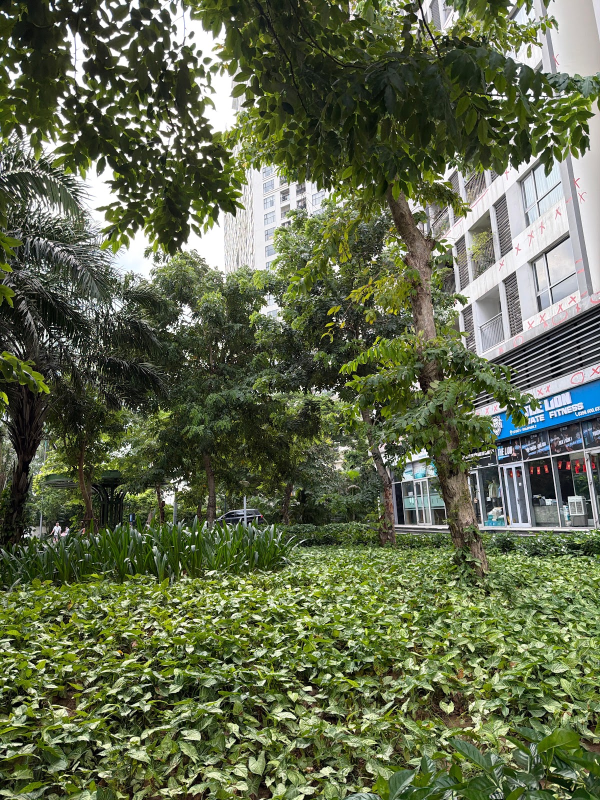 Ngoại cảnh Times City • Rừng Cây Cảnh Quan Dày Đặc (73%+ Green)