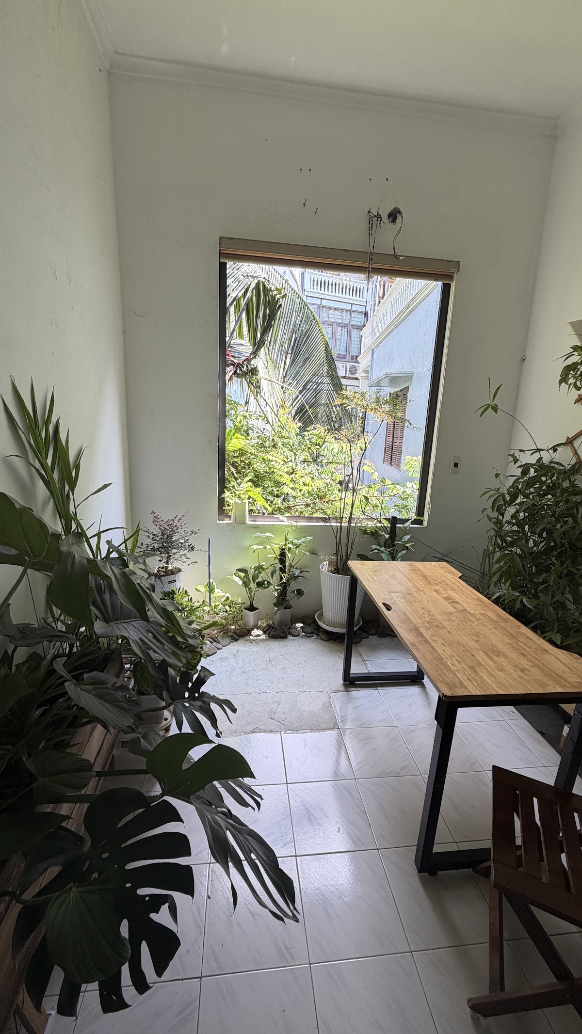 Ngoại cảnh Times City • Lối Đi Dạo Ven Bồn Cây Cắt Tỉa Gọn Gàng